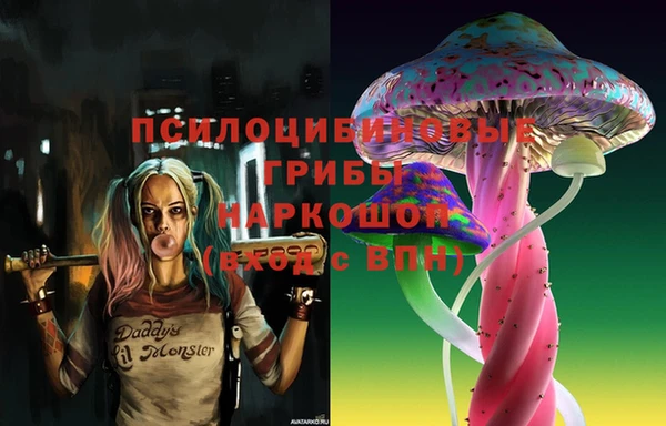 гидропоника Аркадак