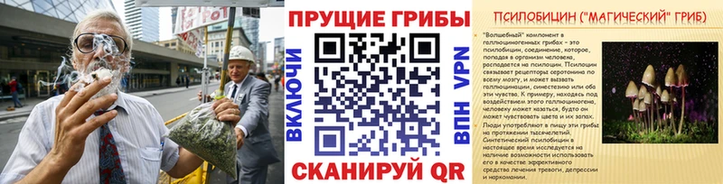 хочу наркоту  Мамоново  гидра вход  Псилоцибиновые грибы Cubensis 